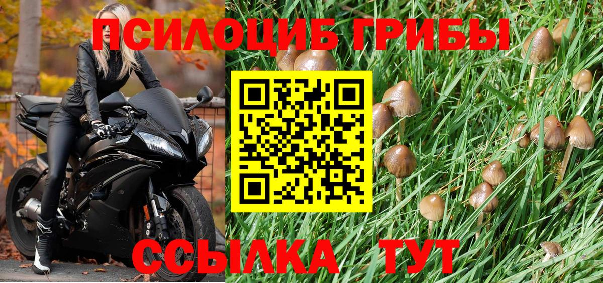 Псилоцибиновые грибы MAGIC MUSHROOMS Осинники