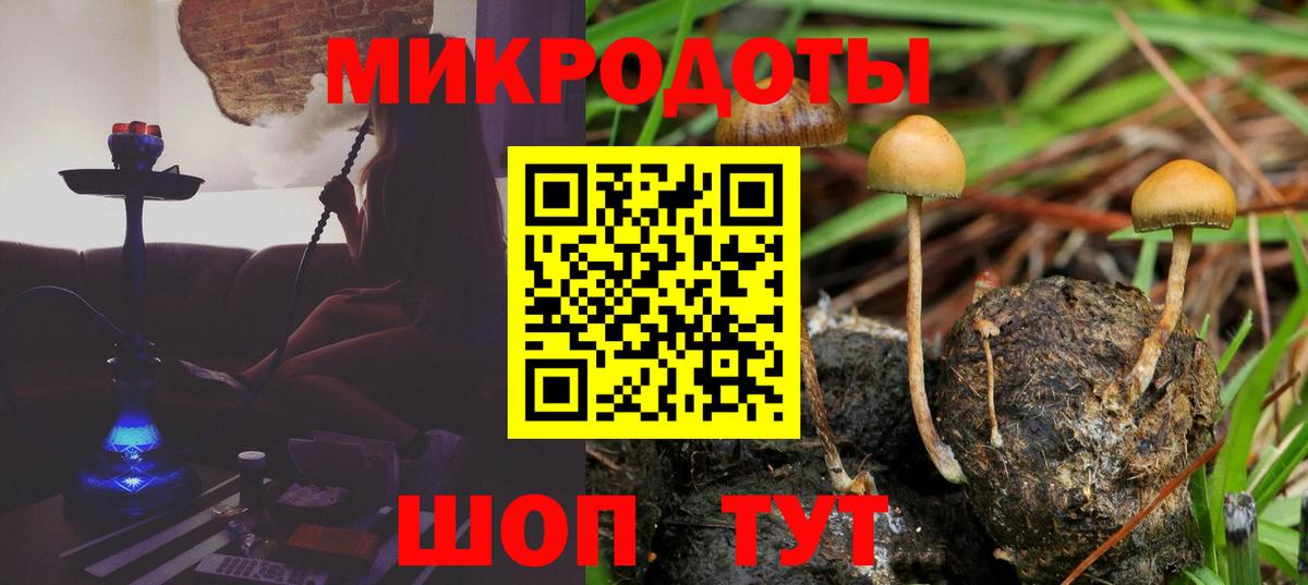 Псилоцибиновые грибы Psilocybine cubensis  Вход с VPN  Осинники  Галлюциногенные грибы мухоморы 